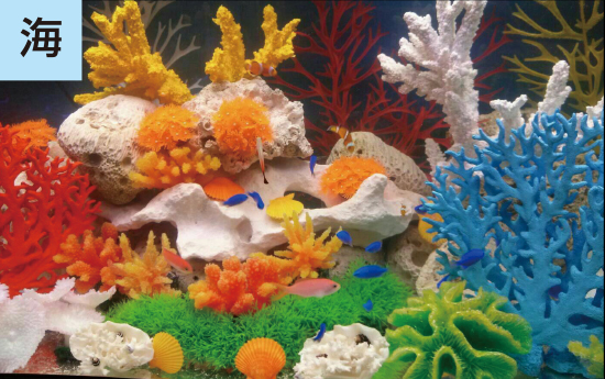海水魚水槽（人工サンゴ）